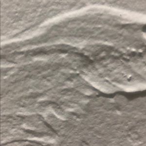 Meet your Posher, Darren